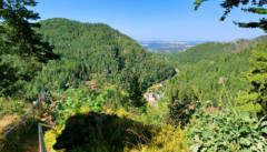 Aussichtspunkte eröffnen sich an allen Ecken. Blick auf Oybin
