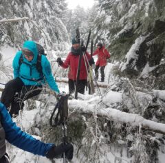 Skilanglauf mit Hindernissen (oft können in schneereichen Wintern nach einem Sturm wochenlang Forstwege nicht "aufgeruämt" werden)