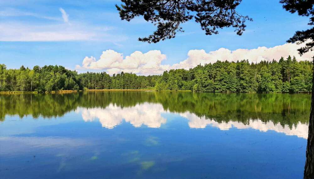Moor, Wald und Teiche, die wie Seen aussehen - durch diese Schöne Landschaft führt ein wunderbarer Wanderweg nach Franzensbad