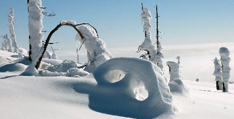 Skilanglauf-Bayerwald-Schneekunst