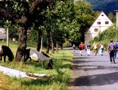 Reisen Böhmerwald Wandern