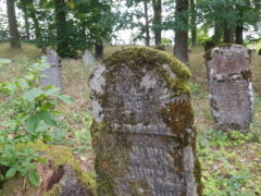 Bauerbach - Jüdischer Friedhof