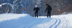 Skilanglauf - Lernkurs auf der Loipe