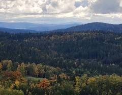 Burg-Blick auf Böhmisch-Bayrische Wälder