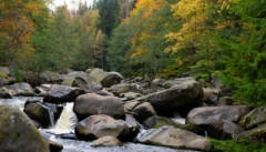 Ein Fluss wie aus Urzeiten: die Vydra 