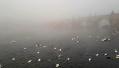 Im Nebel wird die Karlsbrücke zum geheimnisvollen Weg in eine andere Welt
