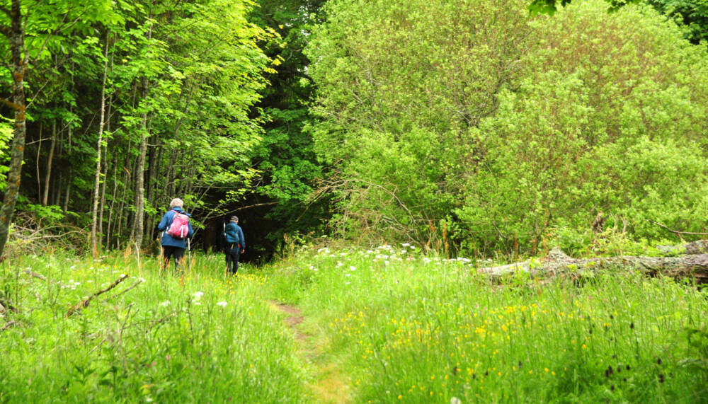 "Auf der böhmischen Grenz" - Wandern im ehemaligen tschechischen Niemandsland