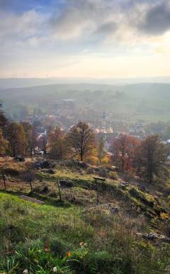 Burgblick auf den Oberpfälzer Wald