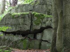 Durch Waldland mit viel Felsen und Moos