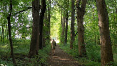 Das Ende einer Reise ist immer der Beginn einer anderen. Arthur Schnabl