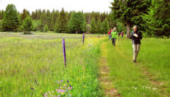 Grenzland: Jahrzehntelang abgeschlossen und Jetzt ein herrliches Wandergebiet.