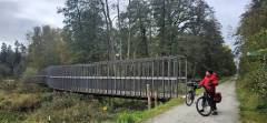 Heusterzbrücke über die Tirschnreuther Waldnaab-Au