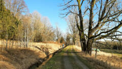 Wandern im ehemaligen Niemandsland auf der böhmischen Seite. Der alte Schwemmkanal hilft bei der Orientierung.