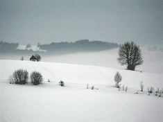 Landschaft im Dreiländereck: Deutschland - Tschechien - Österreich