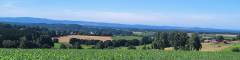 Oberpfälzer Wald Weitblick