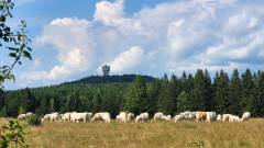 Blick von Plöß auf den ehemaligen Radarturm am Velky Zvon (Plattenberg)