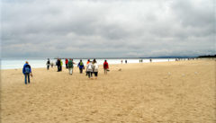 Der breite Strand von Swinemünde. Ideal, um sich für Strandwanderungen einzulaufen.