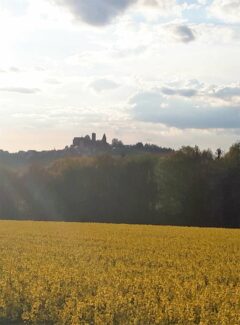 Blick auf Burg Leuchtenberg