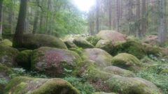Steinblöcke in der Waldnaab