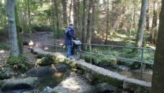 Lerautal: Granitsteinbrücke in der Wolfslohklamm