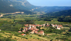 Das denkmalgeschützte Weindorf Goče im Vipavatal