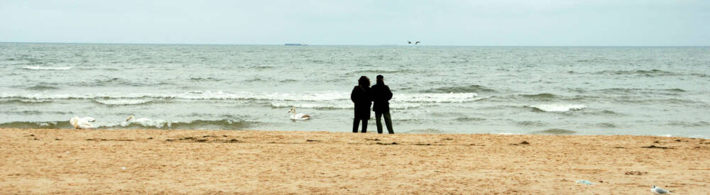 Ein letzter Blick auf das Meer