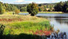 An der Thaya: ein stiller Fluss voll Anmut