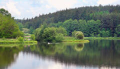 Wiesen, Wälder und kleine Seen - die Vysocina ist ein herrliches Gebiet, um die Seele wandern zu lassen